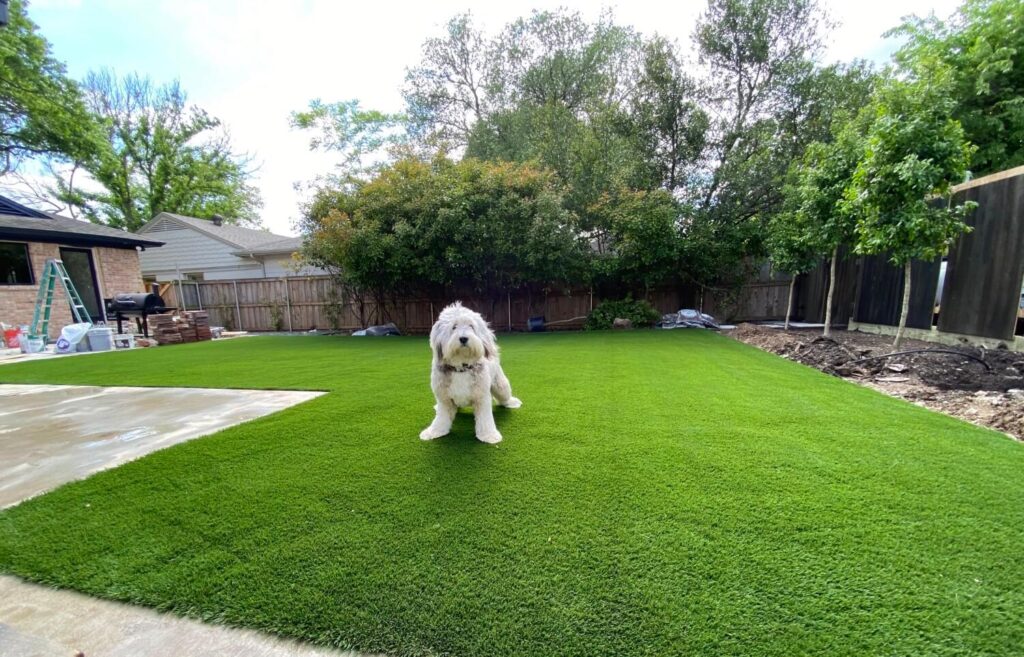 Dog sitting on residential artificial grass