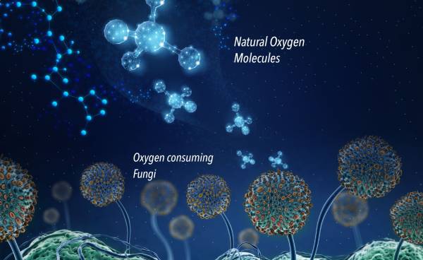 enviroloc-molecule-graphic