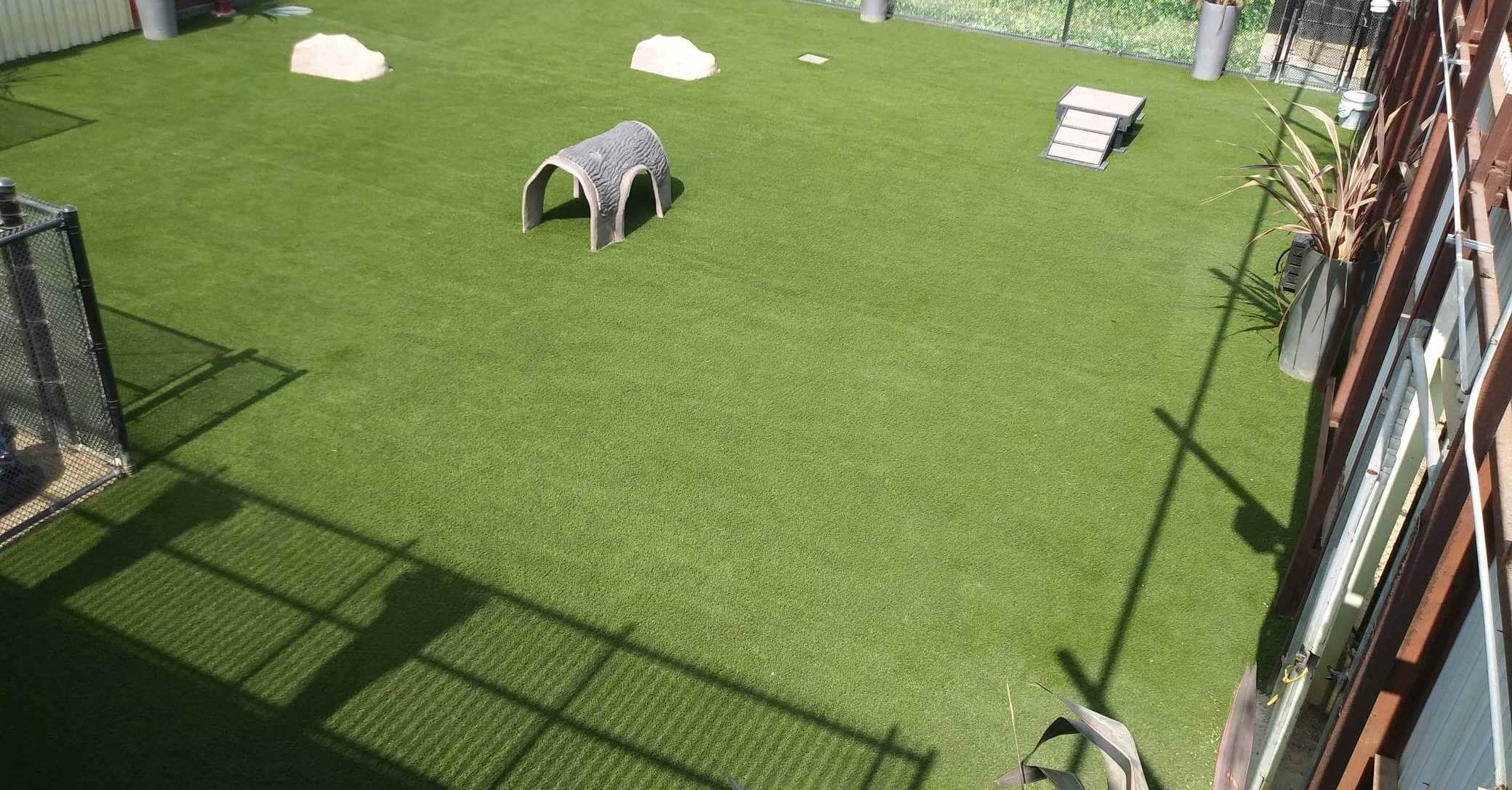 Drone shot of artificial grass dog park