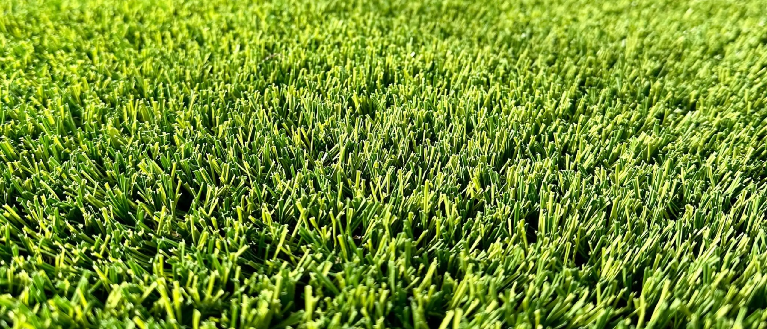 synlawn mississippi artificial turf lawn